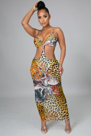 Bathing suit dress