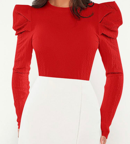 Solid Gigot Sleeve Blouse