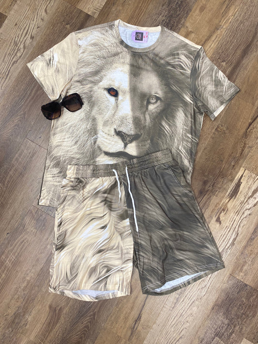 Men’s 2pcs drawstring shorts