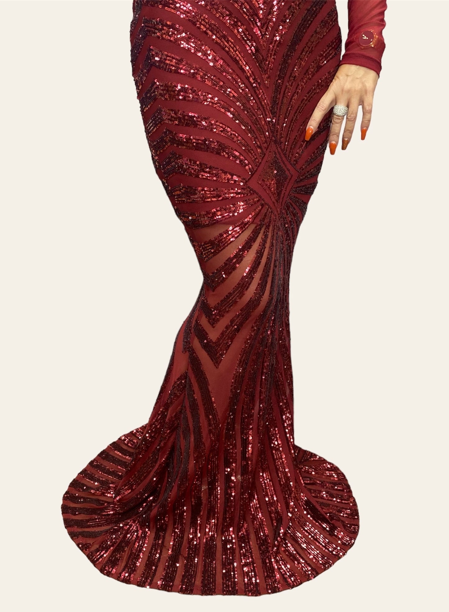 Sequin Sheer Dazzle Mermaid Dress